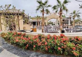 464820-Vorschaubild4