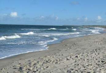 465266-Vorschaubild2