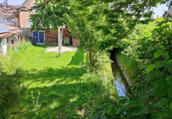 465712-Vorschaubild4