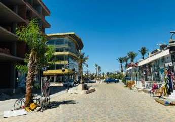 471518-Vorschaubild3