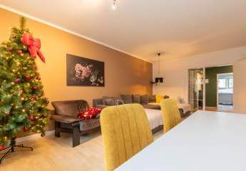 469482-Vorschaubild3