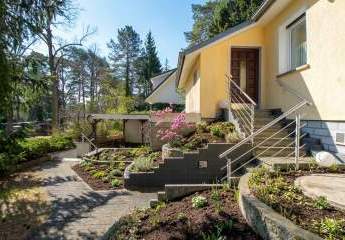 486384-Vorschaubild4