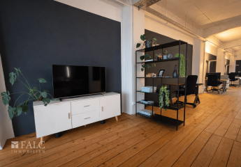 474210-Vorschaubild4