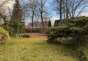 479943-Vorschaubild2