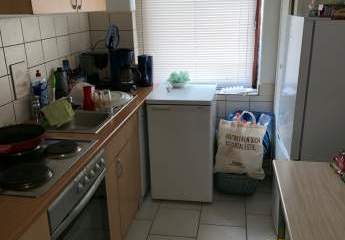 484702-Vorschaubild4