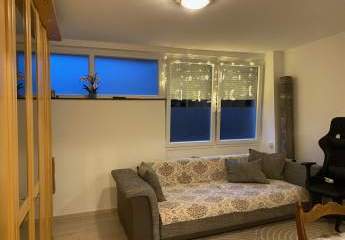 484703-Vorschaubild2