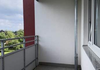483335-Vorschaubild4