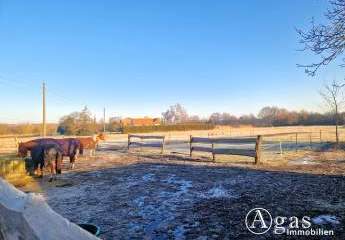 470094-Vorschaubild2