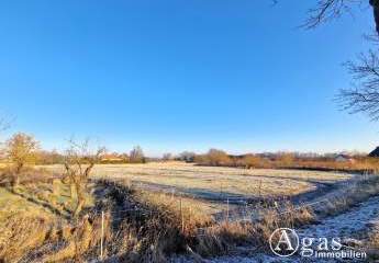 470094-Vorschaubild3