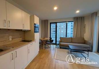 471913-Vorschaubild3