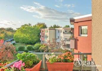 473998-Vorschaubild2