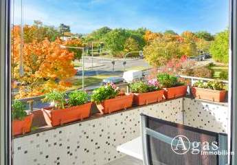 473998-Vorschaubild3