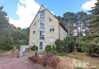 474205-Vorschaubild2