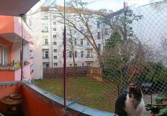 475754-Vorschaubild2