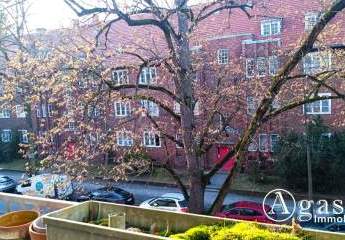 475755-Vorschaubild2