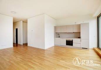 476809-Vorschaubild3