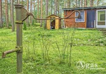 477646-Vorschaubild2