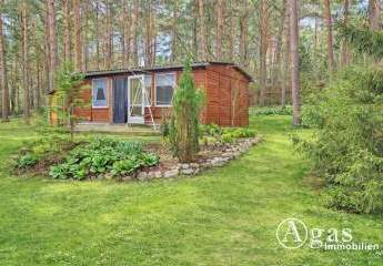 477646-Vorschaubild3