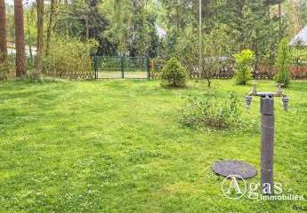 477646-Vorschaubild4