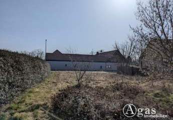 477696-Vorschaubild4