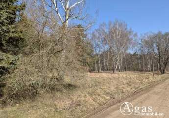 479215-Vorschaubild2