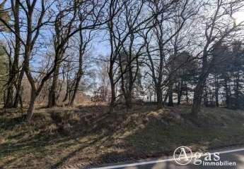 479215-Vorschaubild4