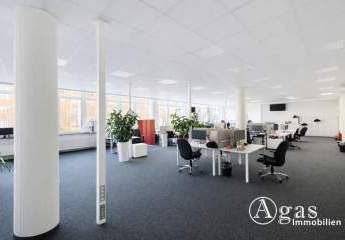 481689-Vorschaubild2