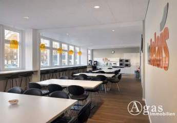 481689-Vorschaubild4