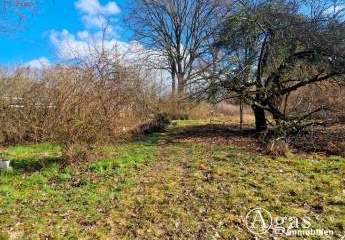 481980-Vorschaubild2