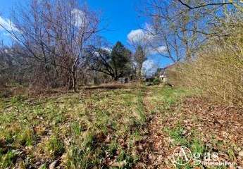 481980-Vorschaubild3