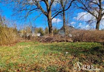 481980-Vorschaubild4