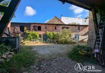 482876-Vorschaubild3