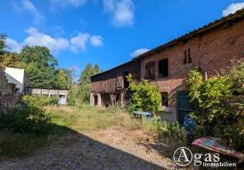 482876-Vorschaubild4