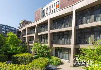 484181-Vorschaubild2