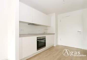 484361-Vorschaubild3