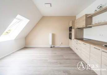 484715-Vorschaubild4