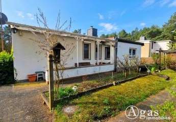 486382-Vorschaubild2