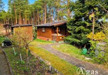 486382-Vorschaubild3