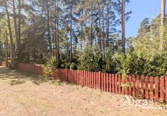 487373-Vorschaubild2