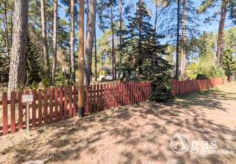 487373-Vorschaubild3