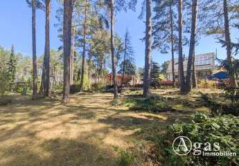 487373-Vorschaubild4