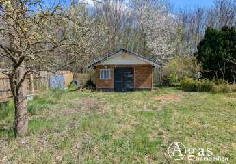 487650-Vorschaubild3