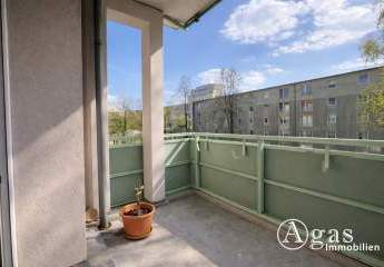 488259-Vorschaubild4