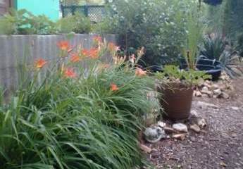 470177-Vorschaubild2