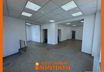 470593-Vorschaubild3