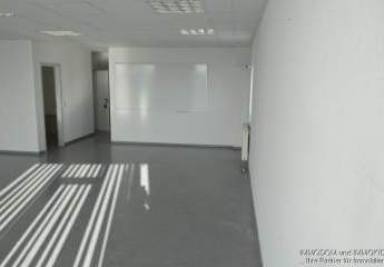 470642-Vorschaubild3