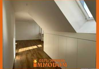 471856-Vorschaubild4