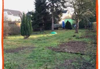 478118-Vorschaubild2