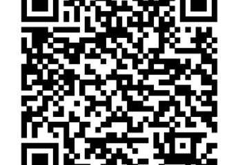 493095-Vorschaubild4