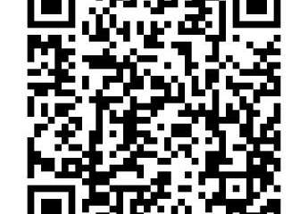 494096-Vorschaubild4
